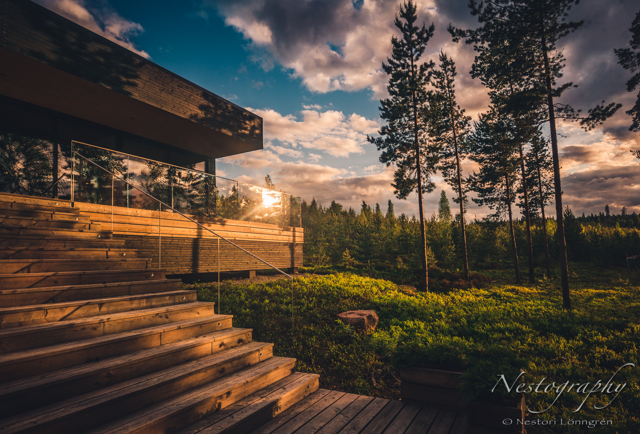 Marja-Tella-Orava-_DSC9376